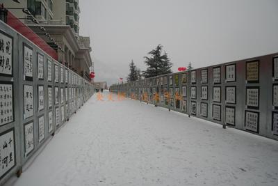 习作0041